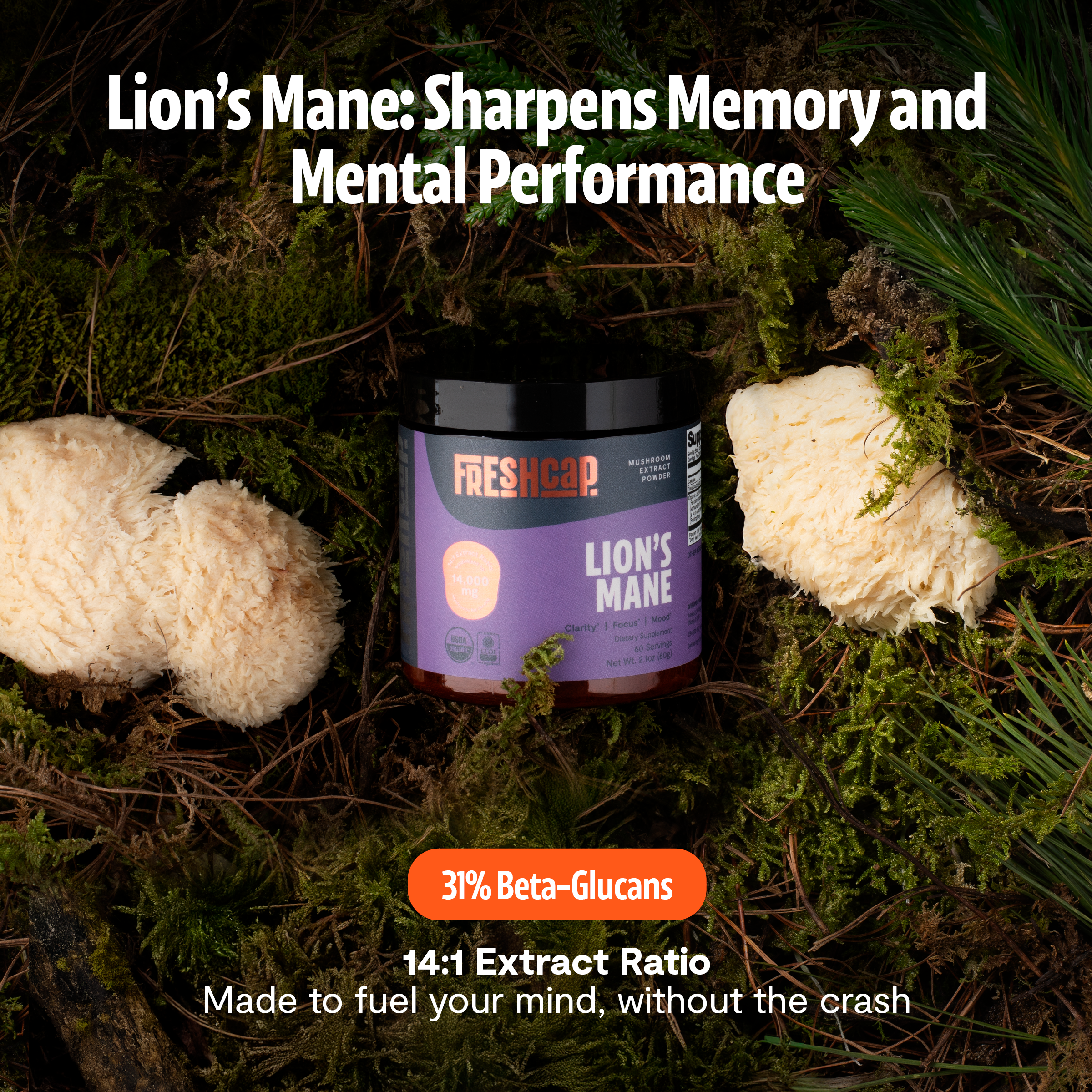 Mushroom extract supplement jar with purple label for Ultimate Mushroom Complex