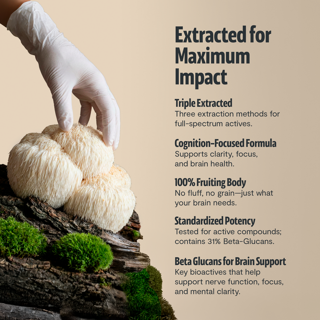 Gloved hand placing lion’s mane mushrooms on a log with extract information panel