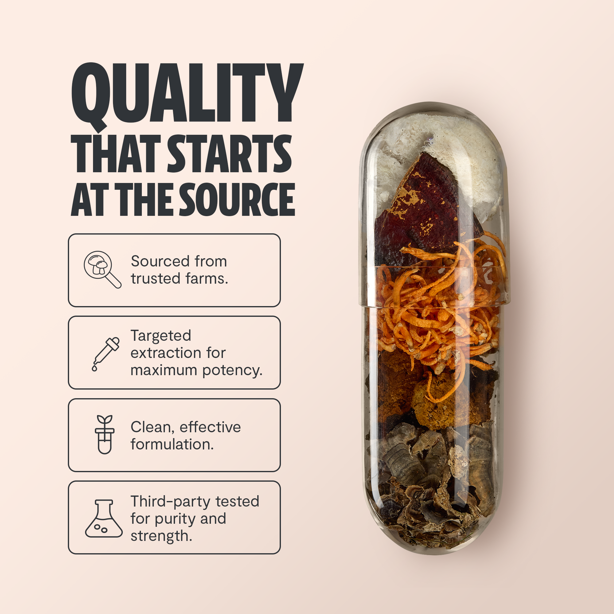 Capsule-shaped container with dried mushroom pieces beside “Quality that starts at the source”.