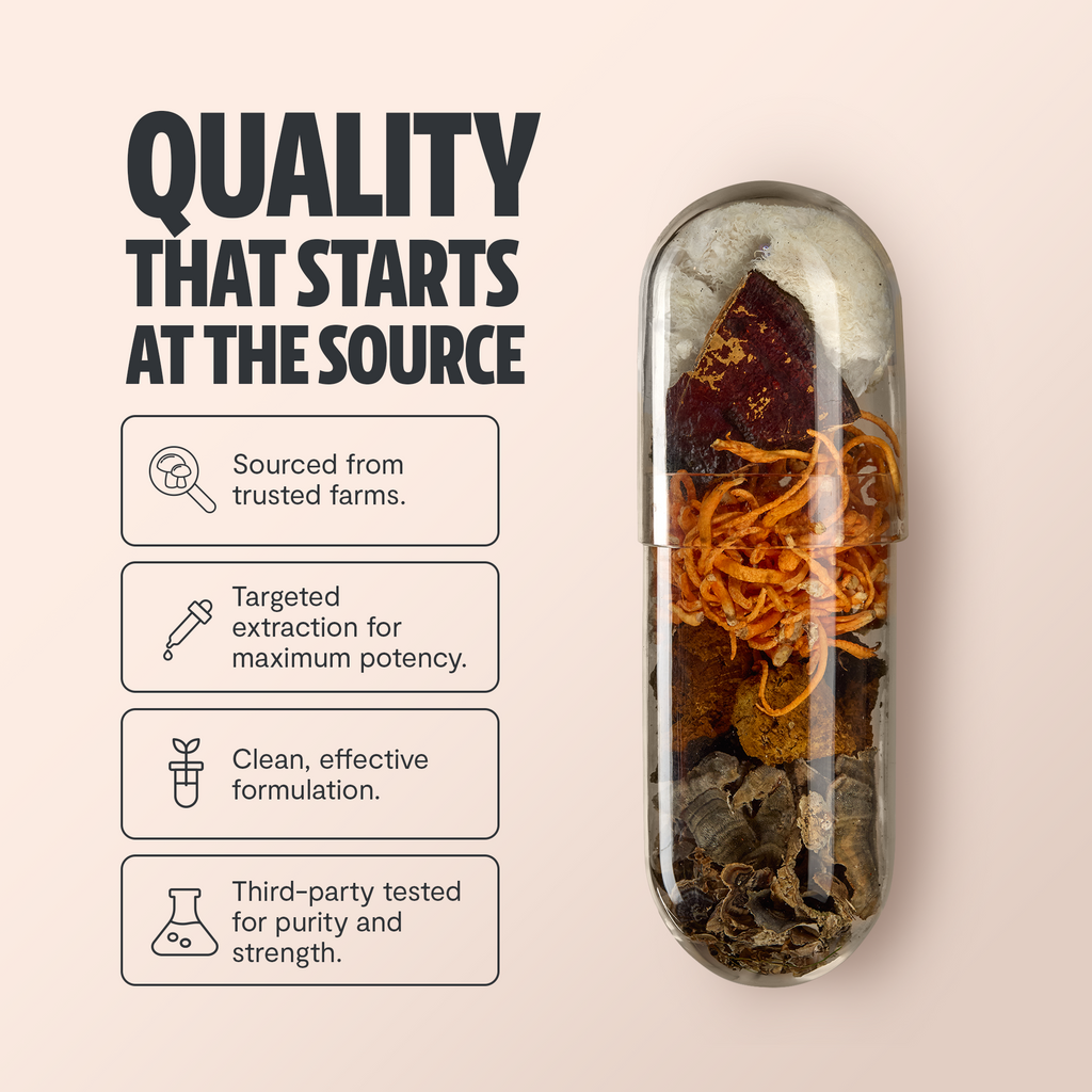 Glass capsule filled with dried mushroom pieces and dark, reddish chunks