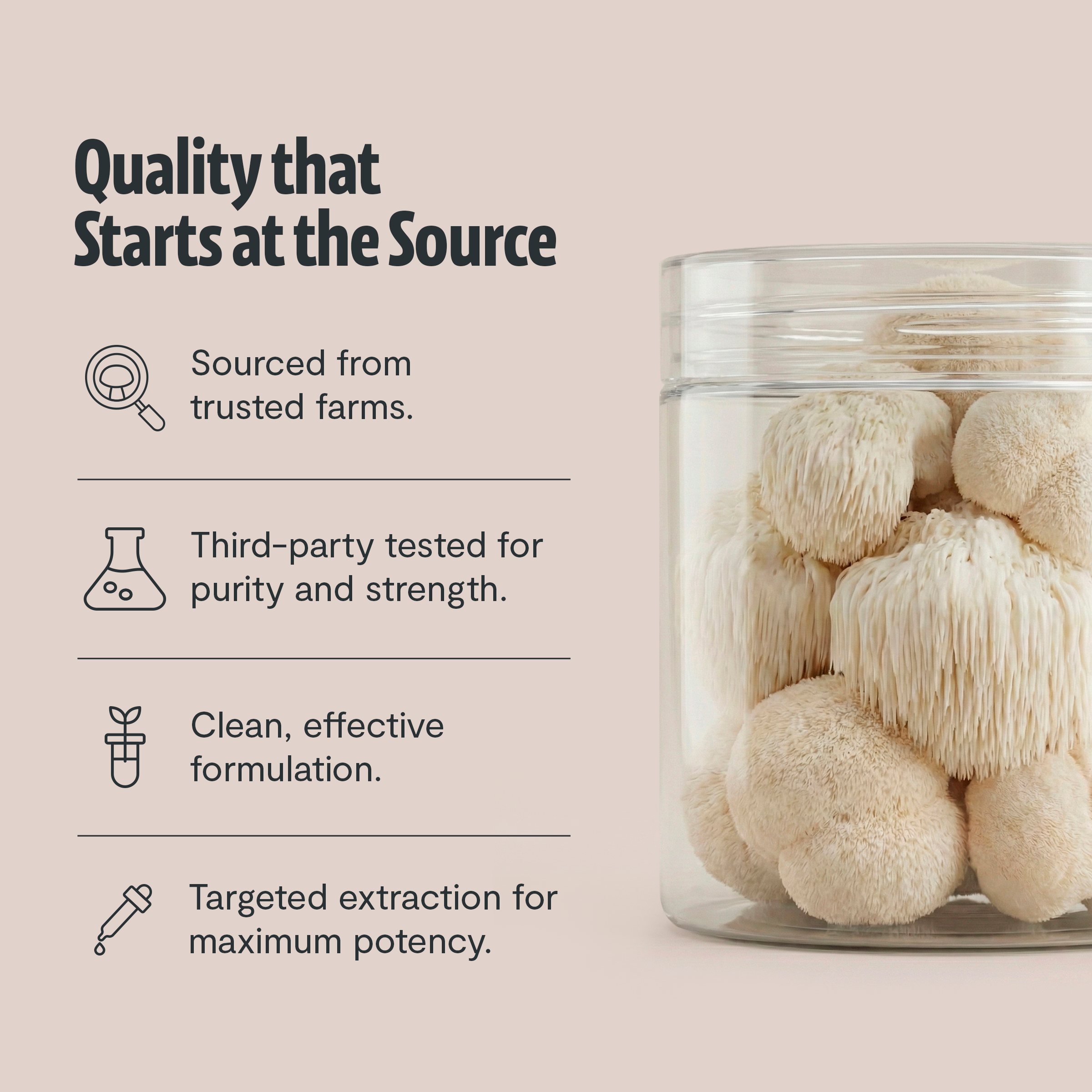 Clear jar filled with lion’s mane mushrooms beside quality checklist icons